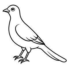Fototapeta premium Cuckoo bird generative AI vector & line art designs for digital graphics & creative projects.