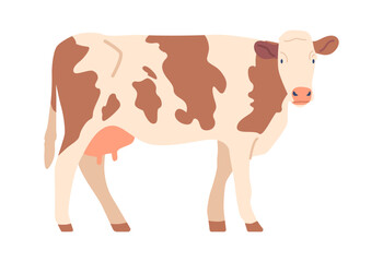 Dairy breed of cow vector illustration
