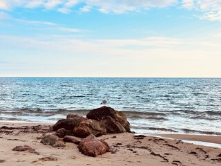 beach and rocks