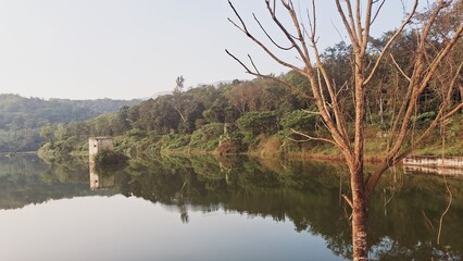 Hirekolale lake, Chikmagalur,  Karnataka,  India 