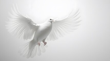 Obraz premium Majestic white dove captured mid-flight displays&nbsp;spread wings and pure feathers in&nbsp;graceful pose, symbolizing peace and freedom against&nbsp;pristine studio background.