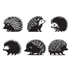 Hedgehog Silhouette Vector Illustration, Solid White Background.