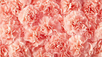 A seamless background of repeating carnation patterns in soft pink tones, fading towards the edges 