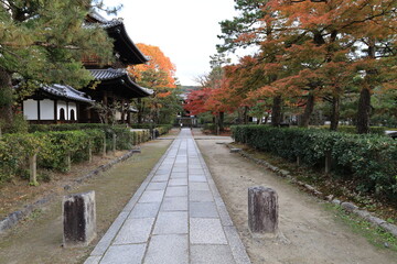 A Japanese temple : a scene of the precincts of Kennin-ji Temple in Kyoto City