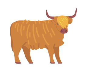 Shaggy bull breed vector illustration