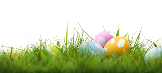 A collection of 6 painted easter eggs celebrating a Happy Easter with green grass and blurred green grass foreground and isolated against a transparent background template.
