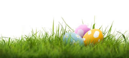 A collection of 3 painted easter eggs celebrating a Happy Easter with green grass and blurred green grass foreground and isolated against a transparent background template.