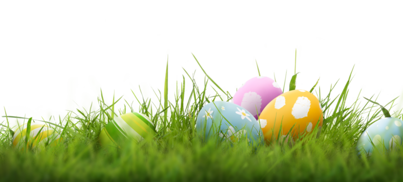 A collection of 6 painted easter eggs celebrating a Happy Easter with green grass and blurred green grass foreground and isolated against a transparent background template.