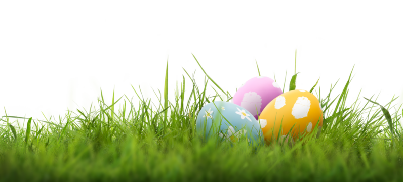 A collection of 3 painted easter eggs celebrating a Happy Easter with green grass and blurred green grass foreground and isolated against a transparent background template. - Powered by Adobe