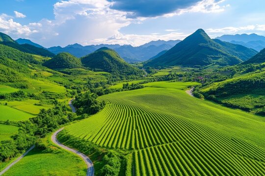 A solar farm with rows of gleaming panels, efficiently converting sunlight into clean energy
