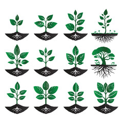A plants vector set with white background