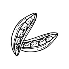 a black and white drawing of a pea pods icon