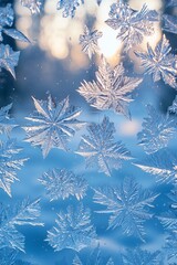 Winter Backdrop Paper