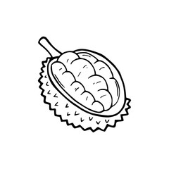 hand drawn illustration of a durian coloring page