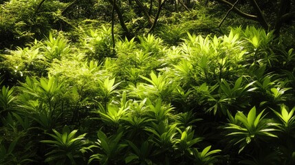 Lush green abstracts in natural serenity