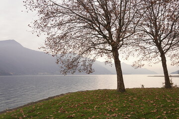 Autumn turns to sunset on the lakefront of Dongo while the sun rises over Lake Como, winter begins by sweeping the last autumn leaves. Dongo, Lake Como, Italy