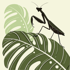 Silhouette of a praying mantis perched on a large tropical leaf Graceful Mantis Perched on Exotic Foliage Vector