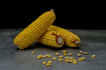 Corn cob