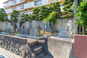 A small cemetery surrounded by bonsai trees in the middle of a residential area in Kyoto, Japan