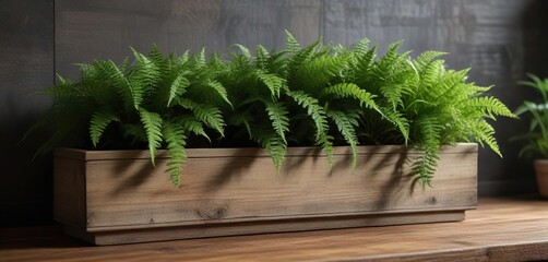 A lush fern fronds cascade over the edge of a ceramic planter on a reclaimed wood shelf, indoor greenery, foliage, earthy vibes