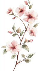Fototapeta premium A delicate branch of pink flowers with green leaves, showcasing soft petals and budding blooms against a light background.