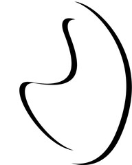 silhouette of a fish on white