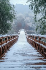 Fototapeta premium Snow-covered wooden bridge leading through a bamboo forest in winter frost
