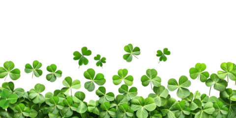 Festive clover and shamrock leaf border for St. Patrick's Day