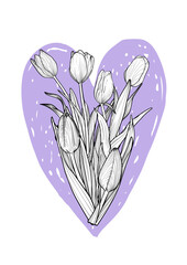 A4 format print design with tulips bouquet on lila doodled heart. Vector hand drawn tulips a line art detailed style. Outlines and fills are in separate groups. 