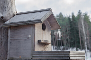 Bird feeding house hanging on a tree in winter