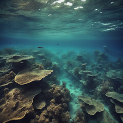 Fototapeta premium Underwater natural scenery background