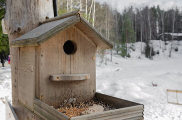 Bird feeding house hanging on a tree in winter