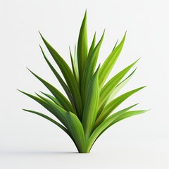 Obraz premium A vibrant green plant with long, sharp leaves, showcasing a fresh and lively appearance, perfect for decoration or landscaping.