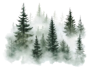 Fototapeta premium PNG Watercolor forest trees mist nature.