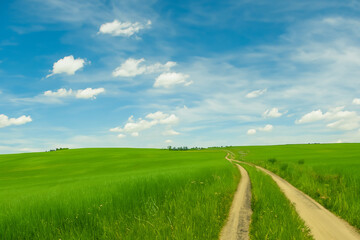 Fototapeta premium A dirt road in a green field with blue sky. A field of clouds and grass in the sky. Green field with blue sky and nature on the road. Green field with green grass and clouds lifestyle on the road.