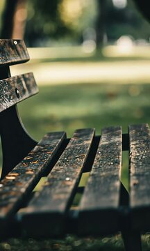 Bench in a serene park setting after a rain, showcasing droplets on the surface against a blurred green background