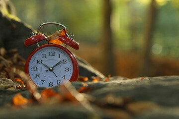 Alarm clock on fallen dry leaves and stones outdoors, closeup. Space for text