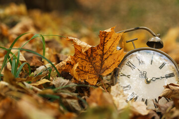 Autumn time. Vintage clock on fallen leaves in park, closeup with space for text