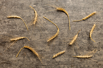 Sheaf of wheat ears close up and seeds on colored background. Natural cereal plant, harvest time...