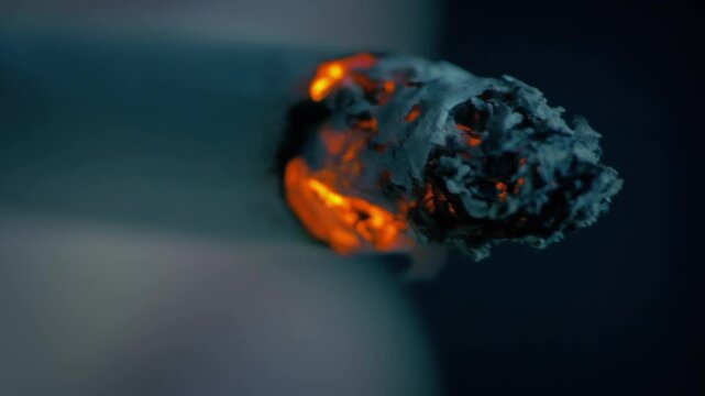 Cigarette Tobacco Smoking Macro Shots
