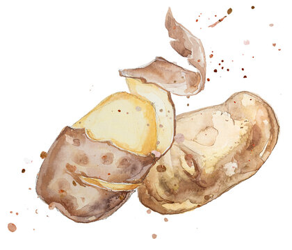 recommend clip art: Watercolor potato chips clipart isolated on a white background. Hand painted vegetable snack illustration. Fast food menu.	