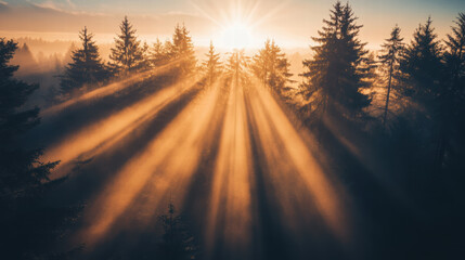 Serene sunrise illuminating a forest with rays of light breaking through the trees.