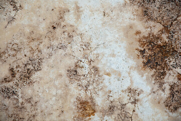 Random, Unique, Natural Cannstatter Travertine Texture - Freshwater Limestone Background