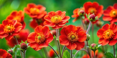Obraz premium A close-up view of a cluster of vibrant red flowers with yellow centers, showcasing the intricate details of each blossom against a soft green background.