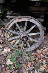 old wagon wheel