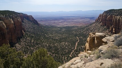 Vast landscapes stretching beyond sight.