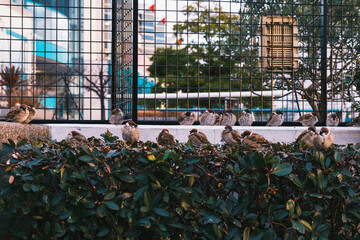 [OSAKA]An international port that serves as the sea gateway to Osaka and handles trade in the...