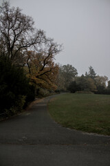 A serene park scene on a foggy day, featuring a quiet paved pathway surrounded by trees with autumn foliage and an open grassy area under a soft, overcast sky.