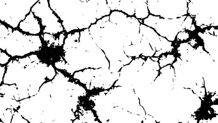 Cracked white surface texture.  Black and white cracked texture, Abstract fracture design. Crack texture lines isolated on white background.
