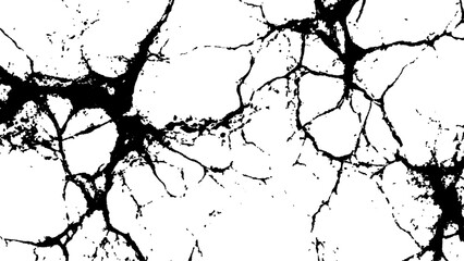 Cracked white surface texture.  Black and white cracked texture, Abstract fracture design. Crack texture lines isolated on white background.
